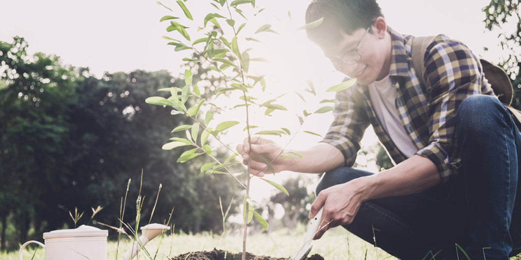 5 Hábitos que todo Ecologista debe tener