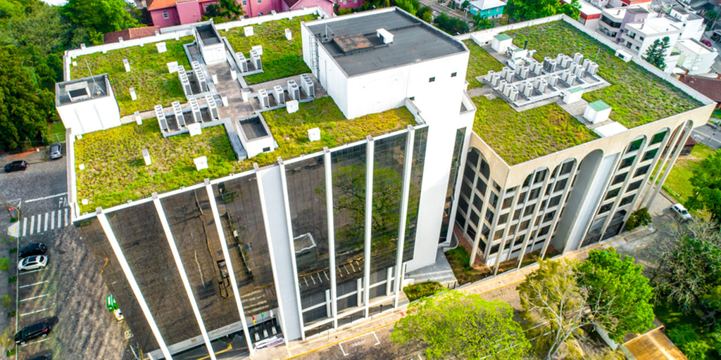 Azoteas Verdes: Transformando las Ciudades