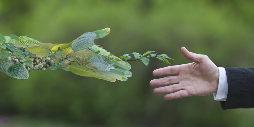 ¿Qué es la ecología trófica?