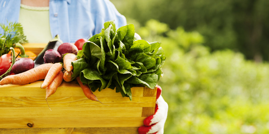 Lo Orgánico es Mejor: ¿Mito o Realidad?