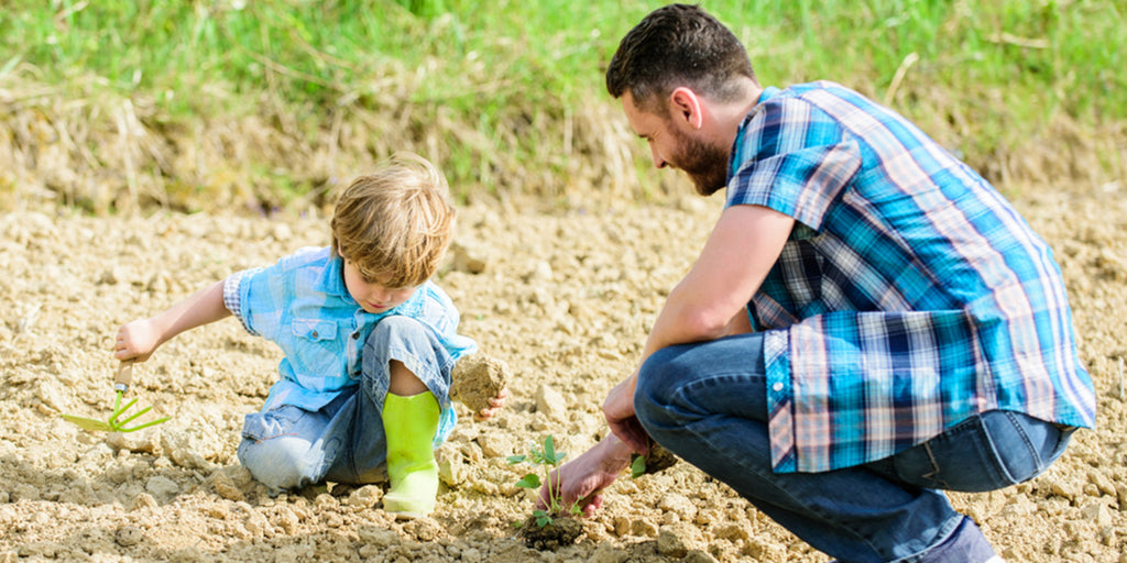 ¿Cómo vivir una vida más ecológica?